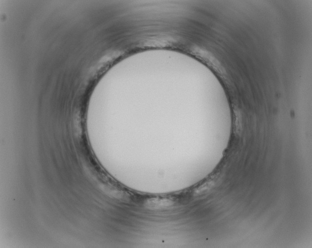 X0000077400354200611172110