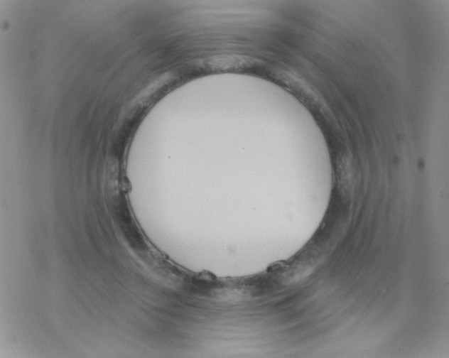 X0000077400356200611172110