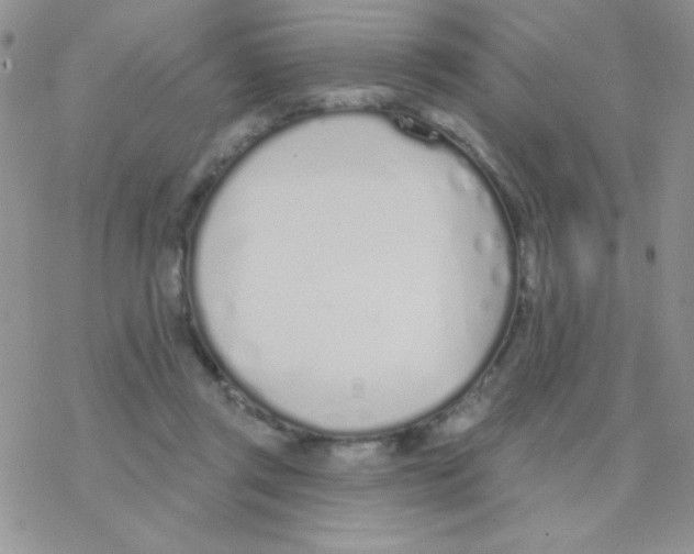 X0000077400357200611172110