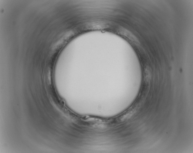 X0000077400358200611172110