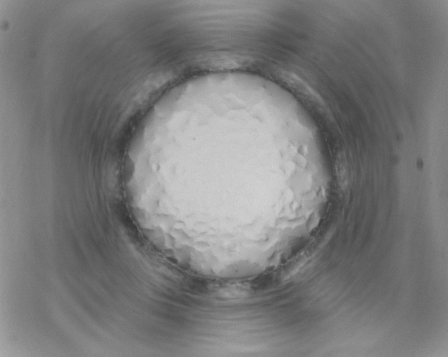 X0000077400359200611172110