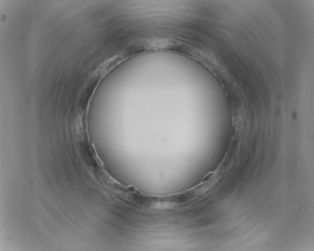 X0000077400360200611172110