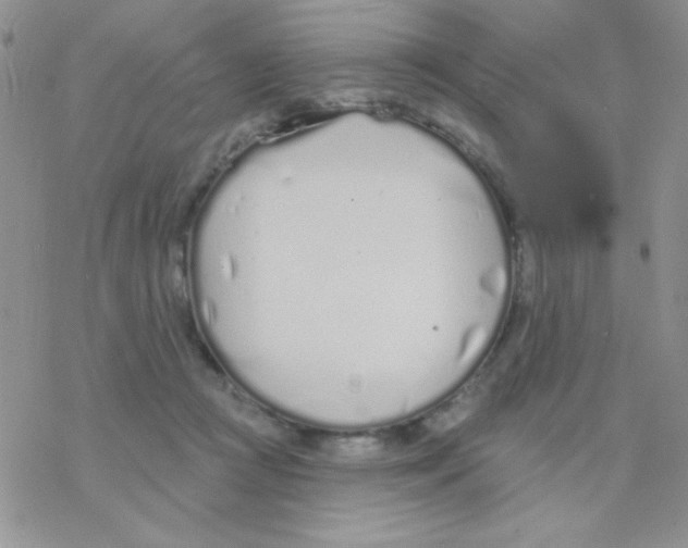 X0000077400361200611172110