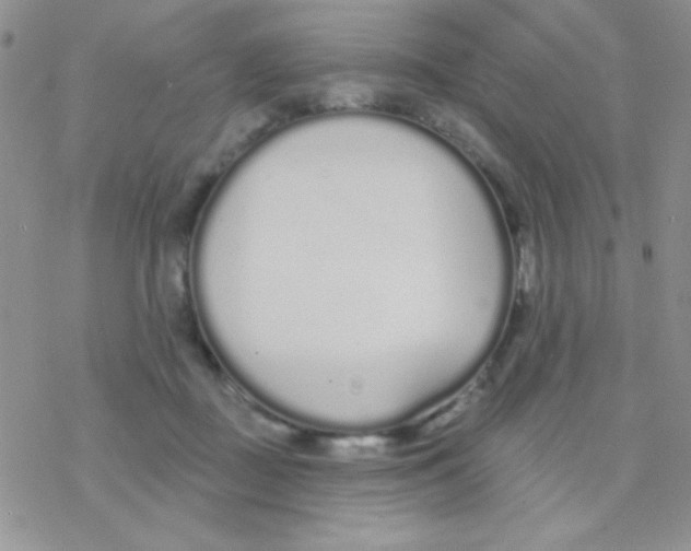 X0000077400363200611172110