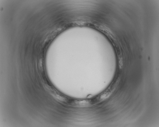 X0000077400365200611172110