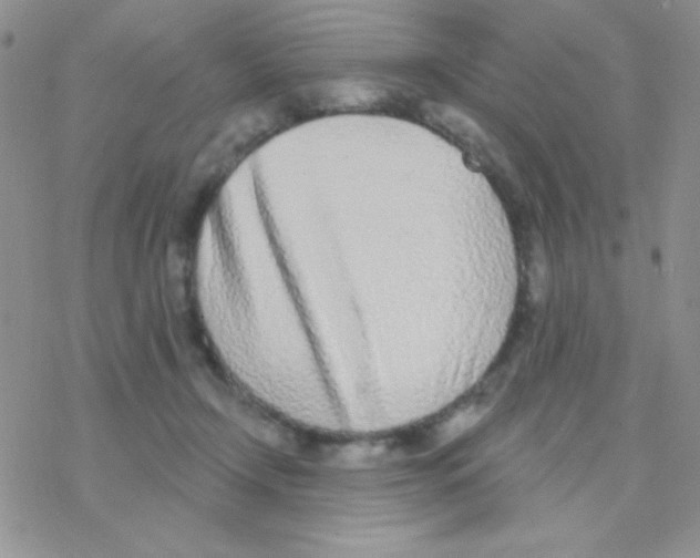 X0000077400366200611172110