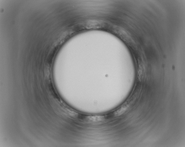 X0000077400367200611172110