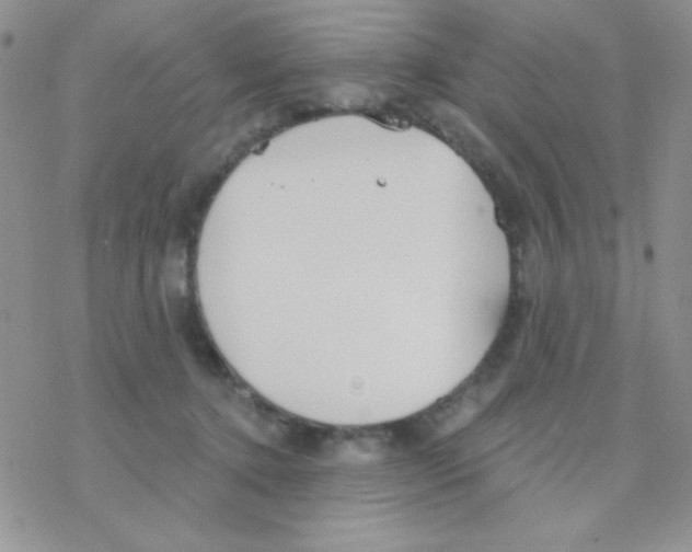 X0000077400368200611172110