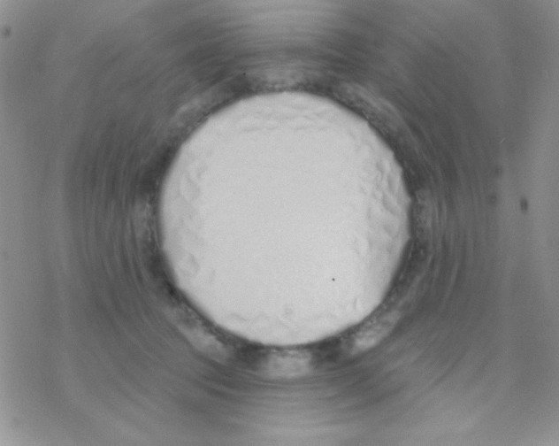 X0000077400369200611172110