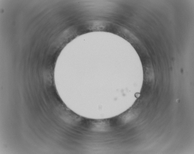 X0000077400370200611172110