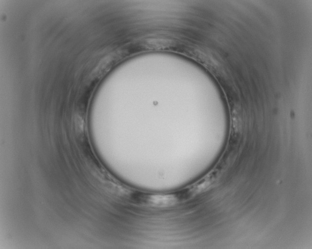 X0000077400371200611172110