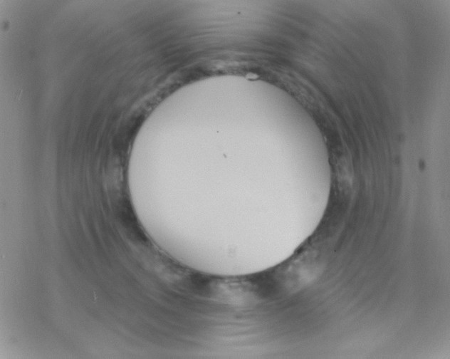 X0000077400372200611172110