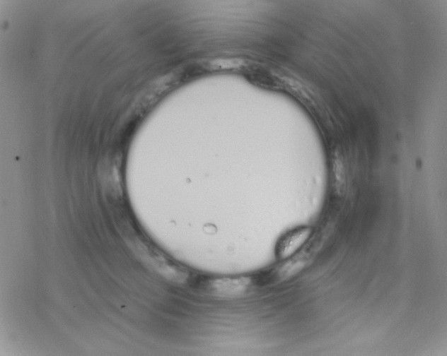 X0000077400373200611172110