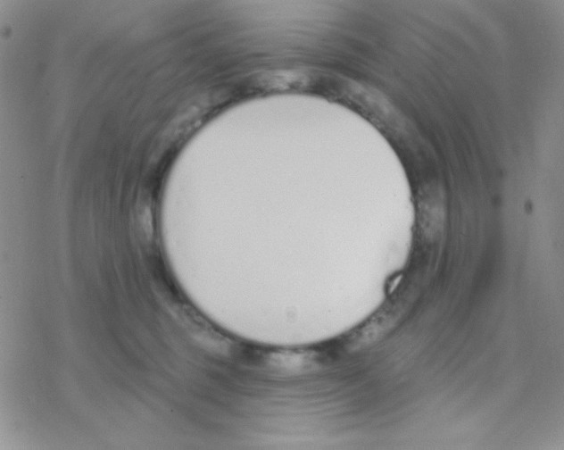 X0000077400375200611172110