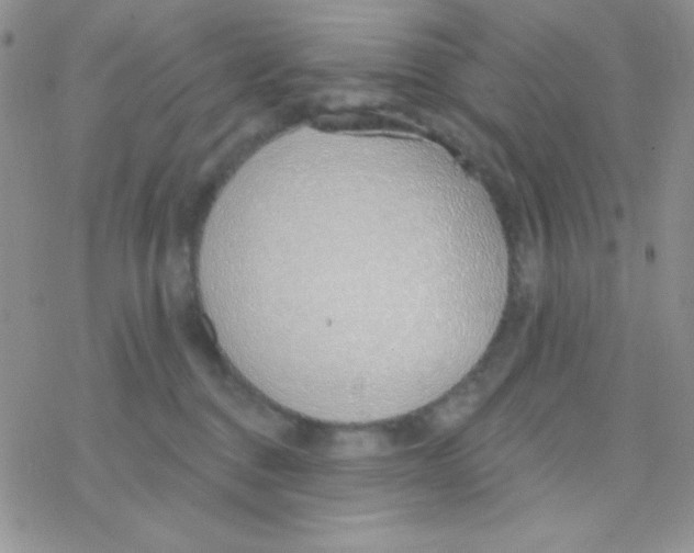 X0000077400376200611172110