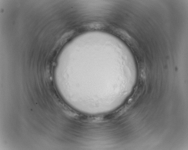 X0000077400377200611172110