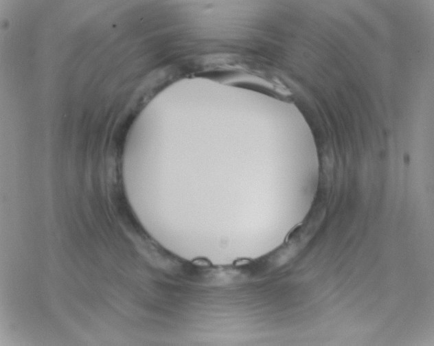 X0000077400379200611172110