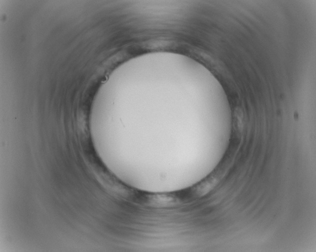 X0000077400380200611172110