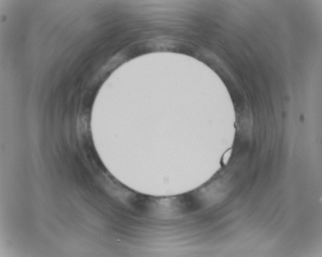 X0000077400382200611172110