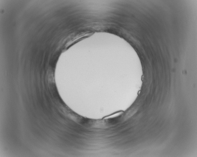 X0000077400384200611172110