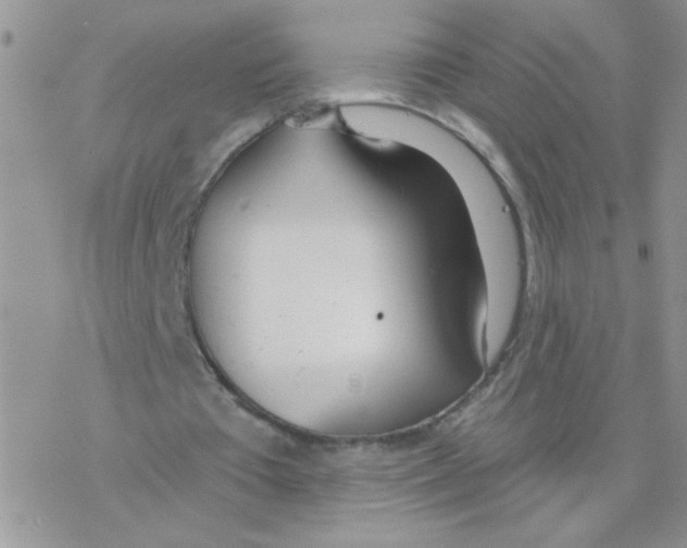 X0000077400385200611172109