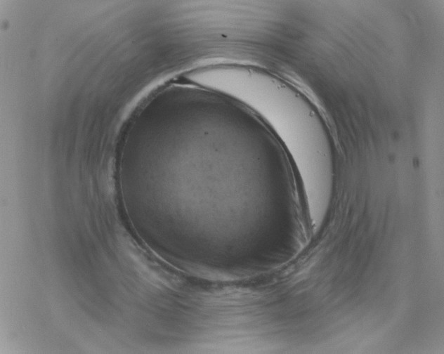 X0000077400387200611172109