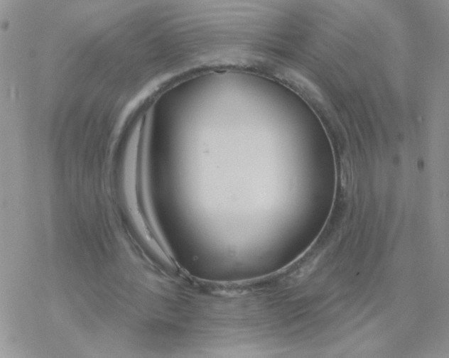 X0000077400388200611172109