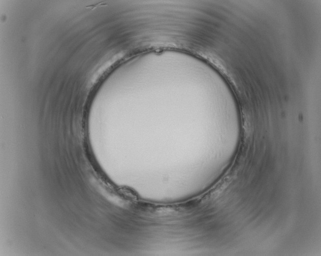 X0000077400390200611172109