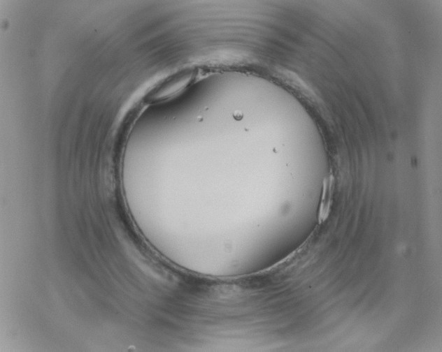 X0000077400392200611172109