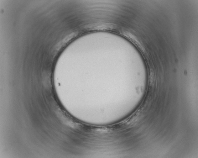 X0000077400394200611172109