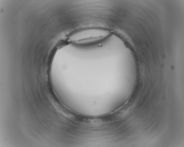 X0000077400395200611172109