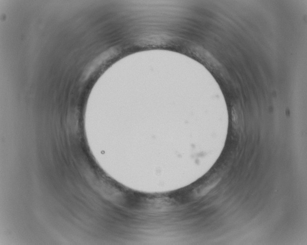 X0000077400396200611172109