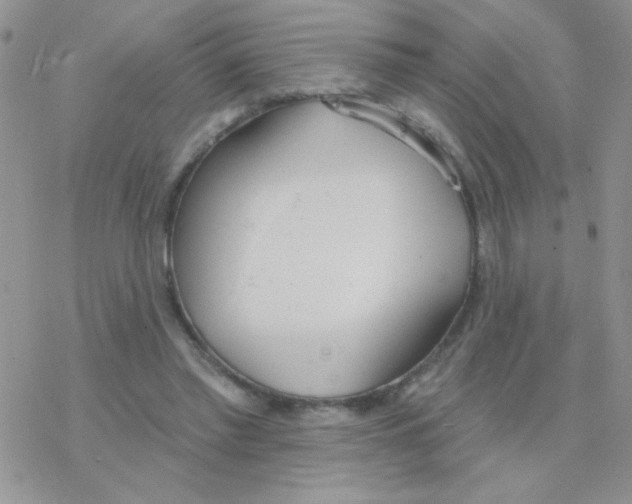 X0000077400397200611172109