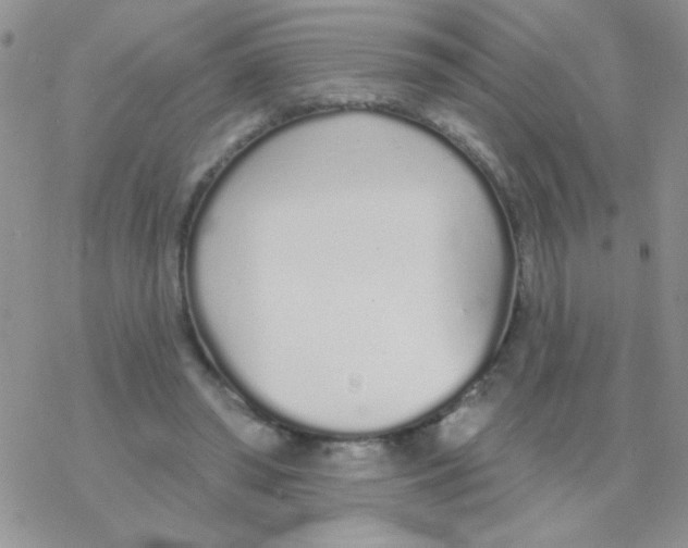 X0000077400398200611172109