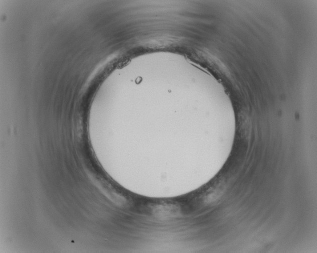 X0000077400400200611172109