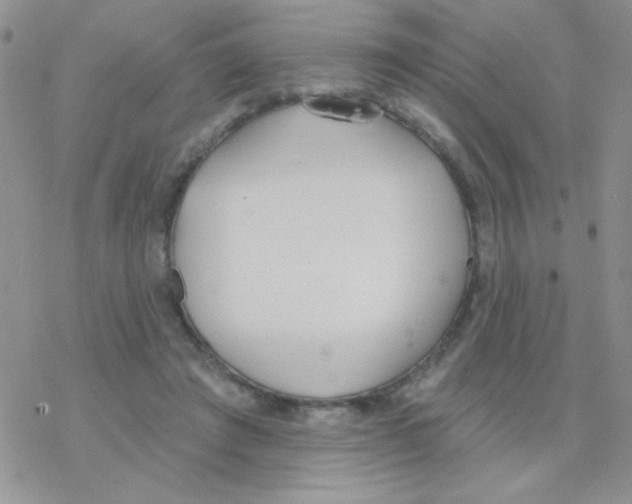 X0000077400401200611172109