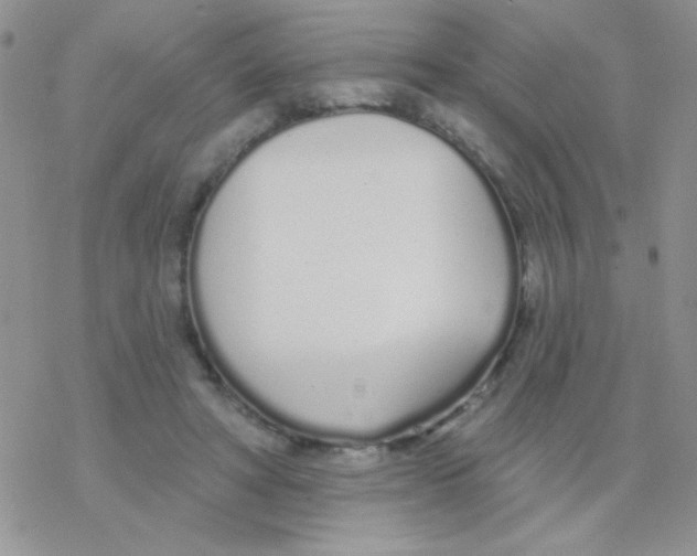 X0000077400402200611172109