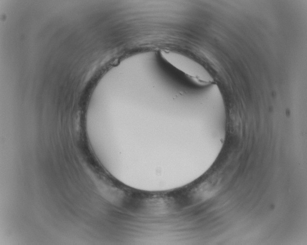 X0000077400404200611172109