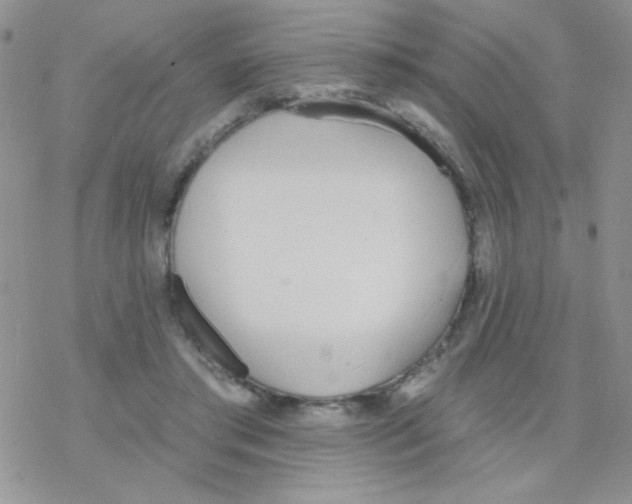 X0000077400405200611172109