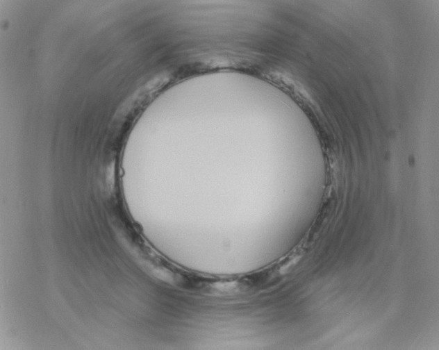 X0000077400406200611172109