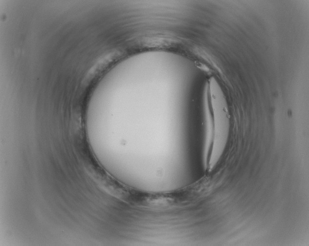 X0000077400407200611172109