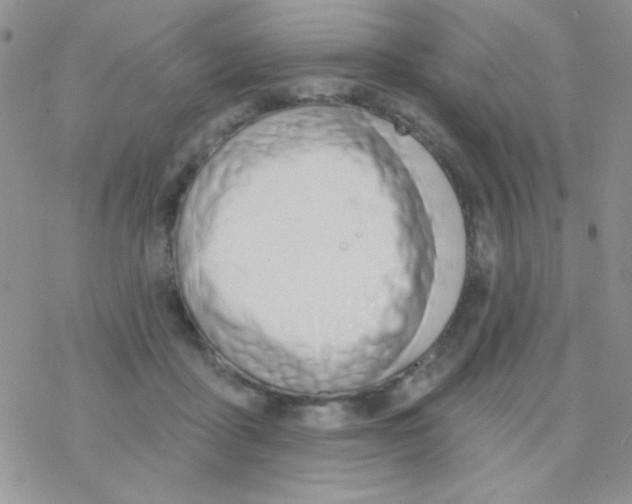 X0000077400411200611172109