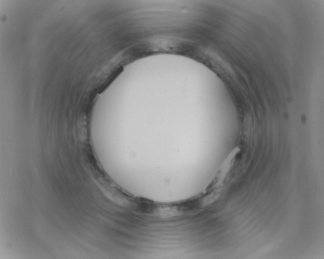 X0000077400413200611172109