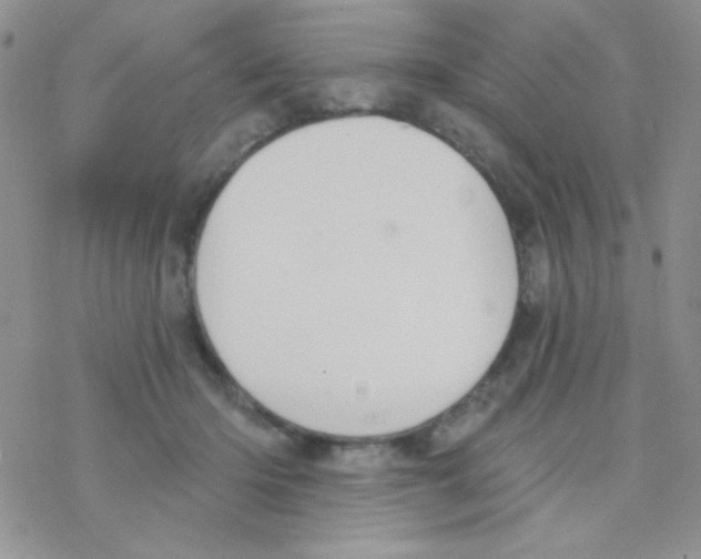 X0000077400414200611172109