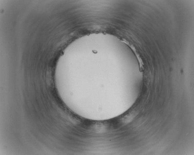 X0000077400416200611172109