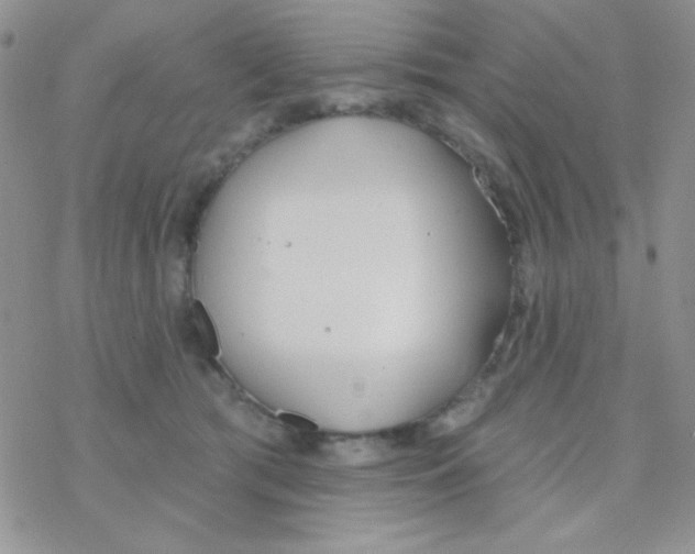 X0000077400417200611172109