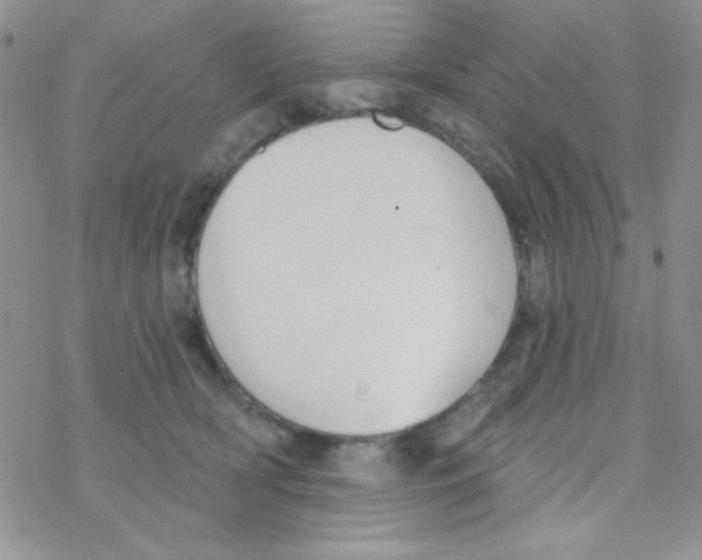 X0000077400418200611172109