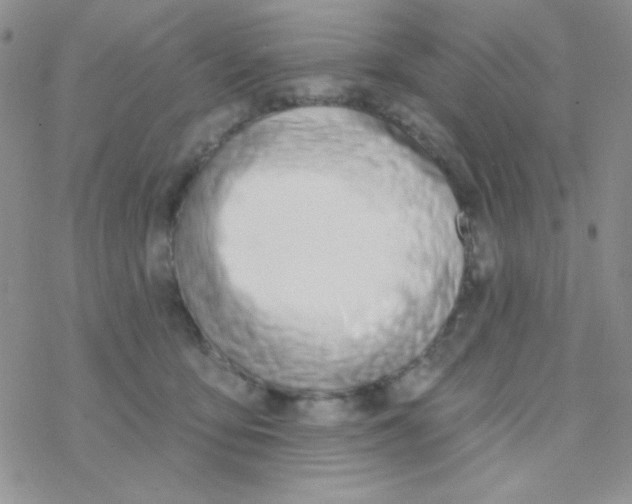 X0000077400419200611172109