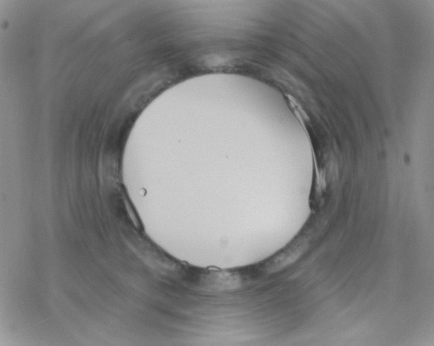 X0000077400421200611172109