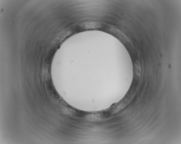 X0000077400422200611172109